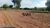 Fazenda, 876 hectares - Foto 3
