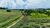 Fazenda, 97 hectares - Foto 3