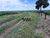 Fazenda, 2425 hectares - Foto 2