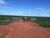 Fazenda, 2425 hectares - Foto 4