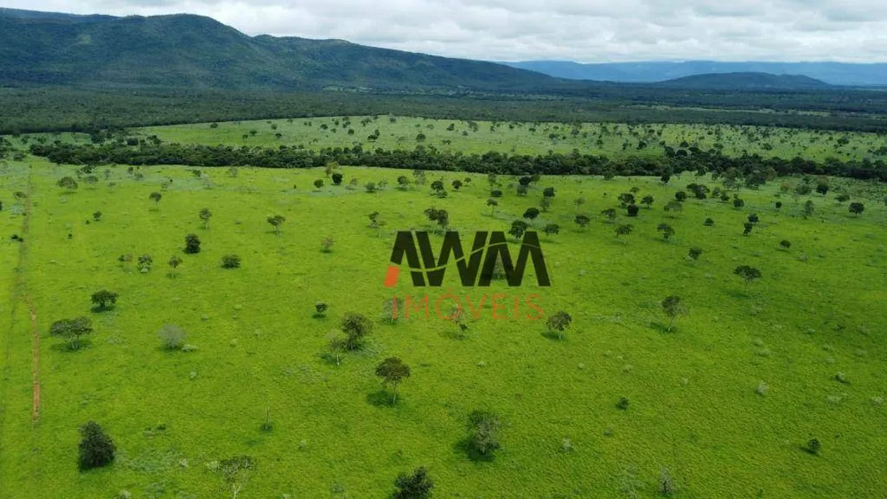 Fazenda, 4840 hectares - Foto 7