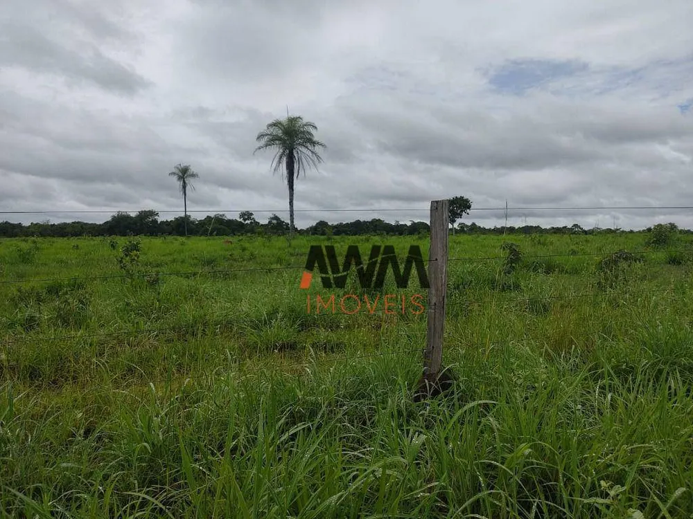 Fazenda, 4840 hectares - Foto 8