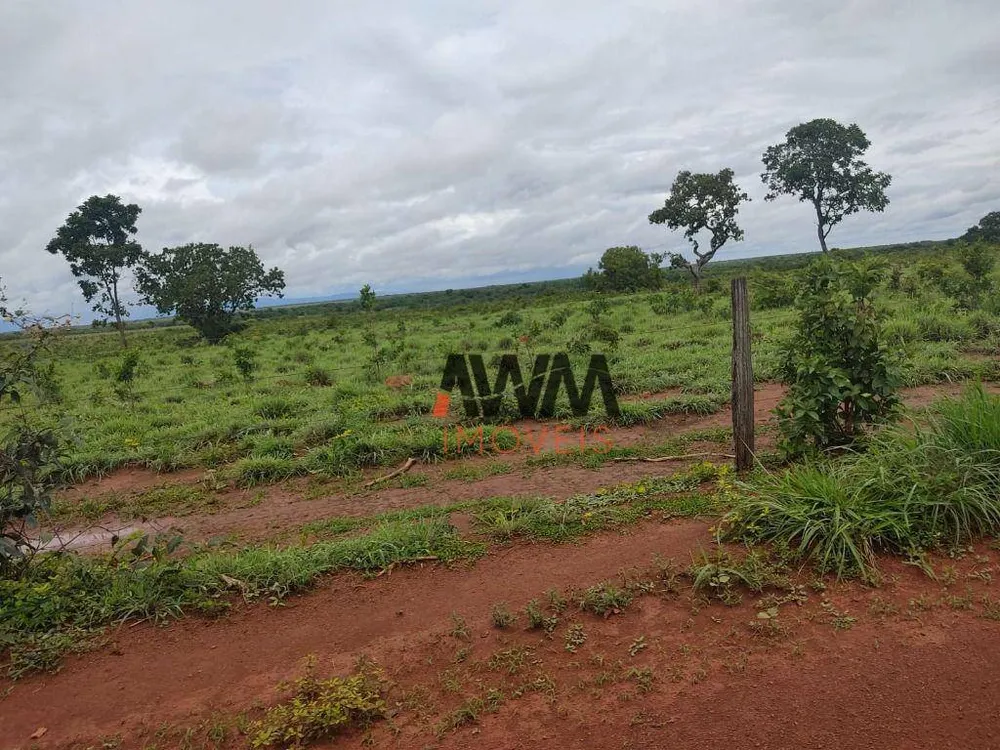 Fazenda, 4840 hectares - Foto 9