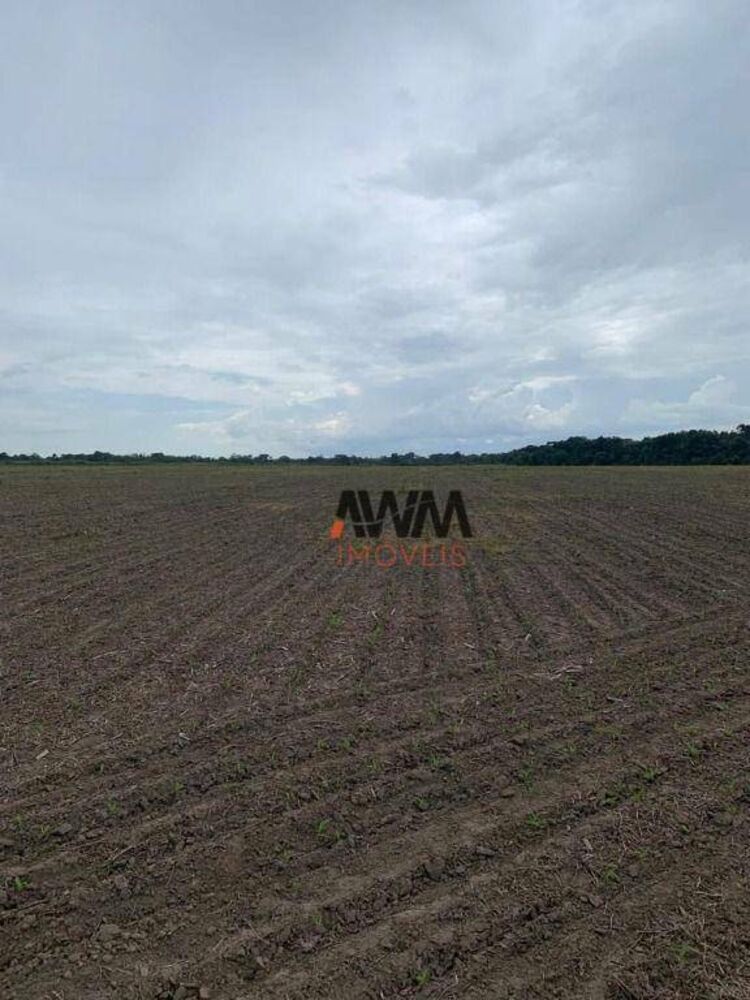 Fazenda à venda, 7018000M2 - Foto 4