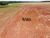 Fazenda, 702 hectares - Foto 1