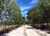 Fazenda, 196 hectares - Foto 4