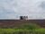Fazenda, 1936 hectares - Foto 3