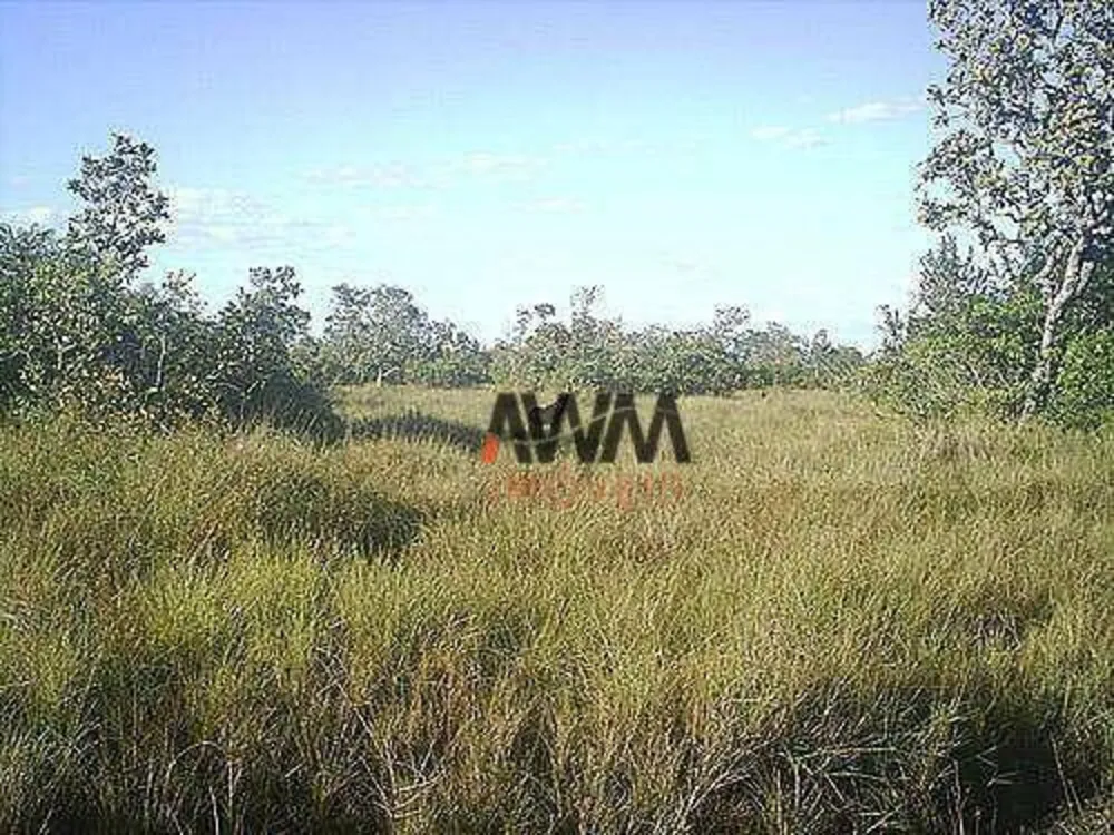 Fazenda, 7260 hectares - Foto 4