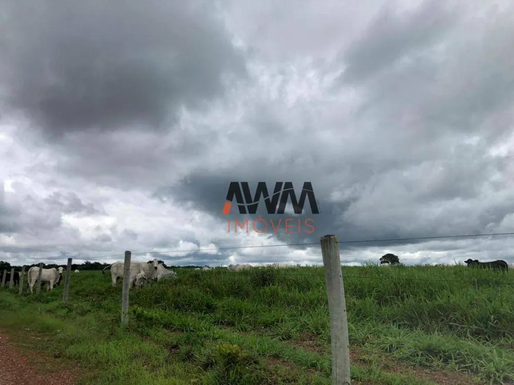Fazenda, 4429 hectares - Foto 4