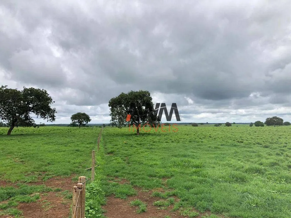 Fazenda, 4429 hectares - Foto 7