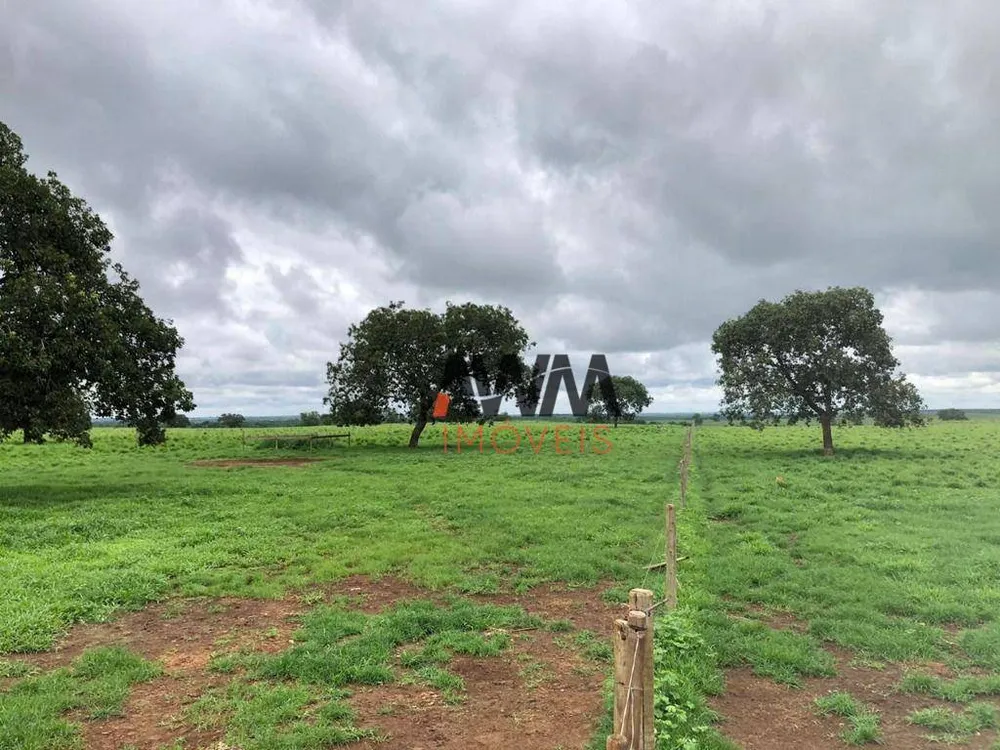 Fazenda, 4429 hectares - Foto 8
