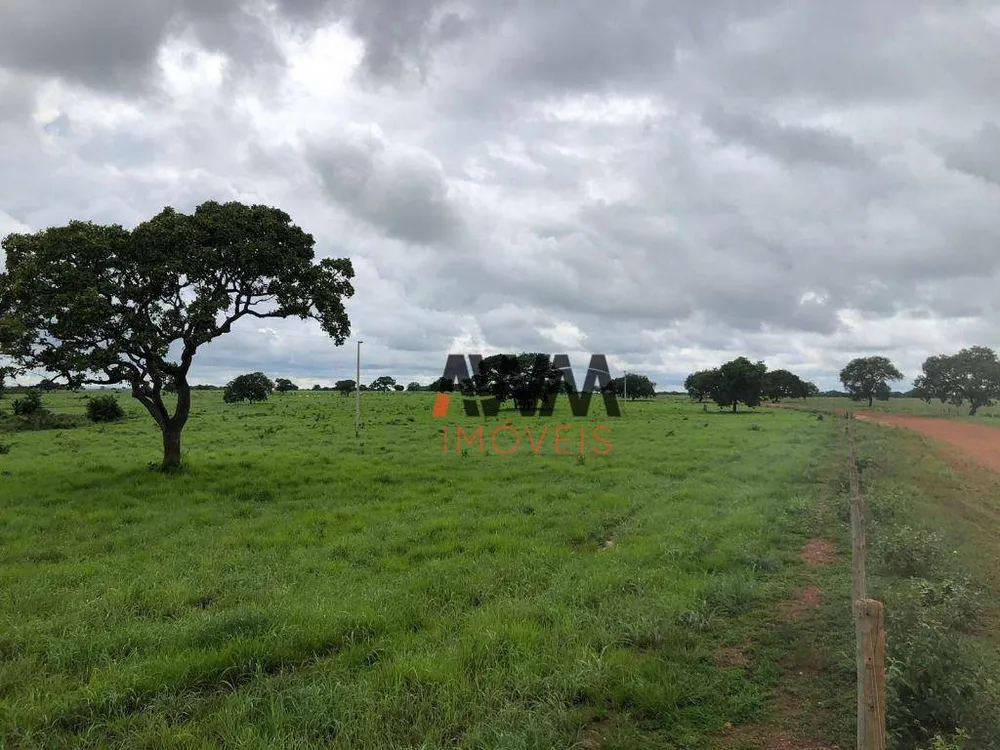 Fazenda, 4429 hectares - Foto 1