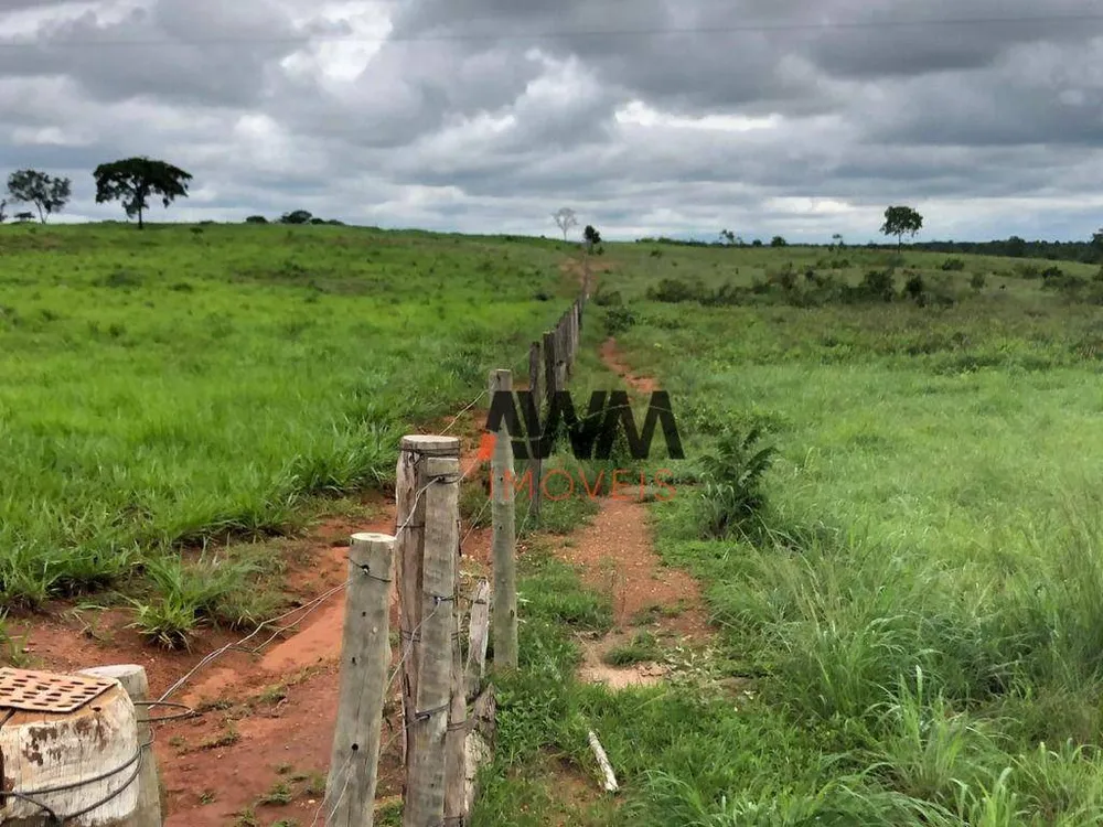 Fazenda, 4429 hectares - Foto 3