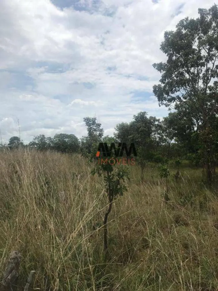 Fazenda, 185 hectares - Foto 5
