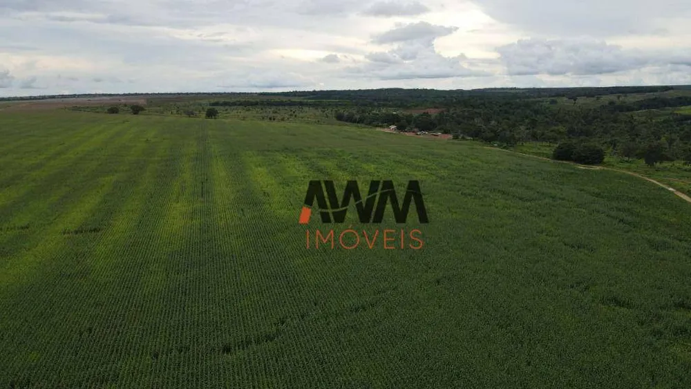 Fazenda, 3001 hectares - Foto 13