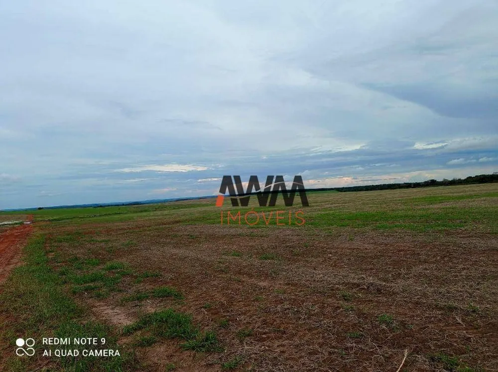 Fazenda, 3001 hectares - Foto 6