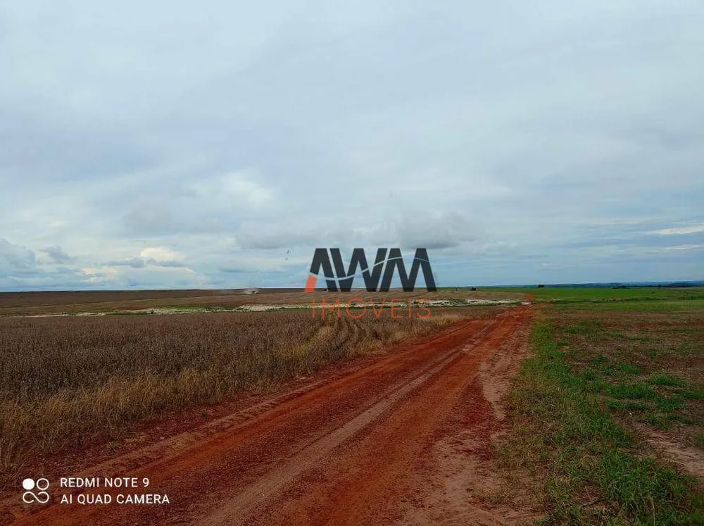 Fazenda, 3001 hectares - Foto 9