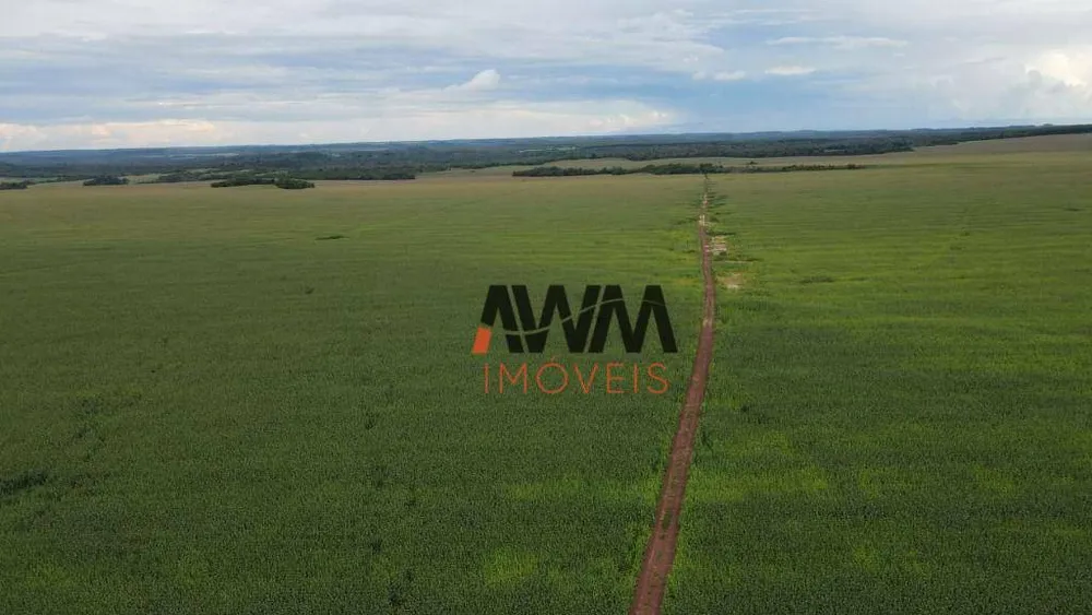 Fazenda, 3001 hectares - Foto 3