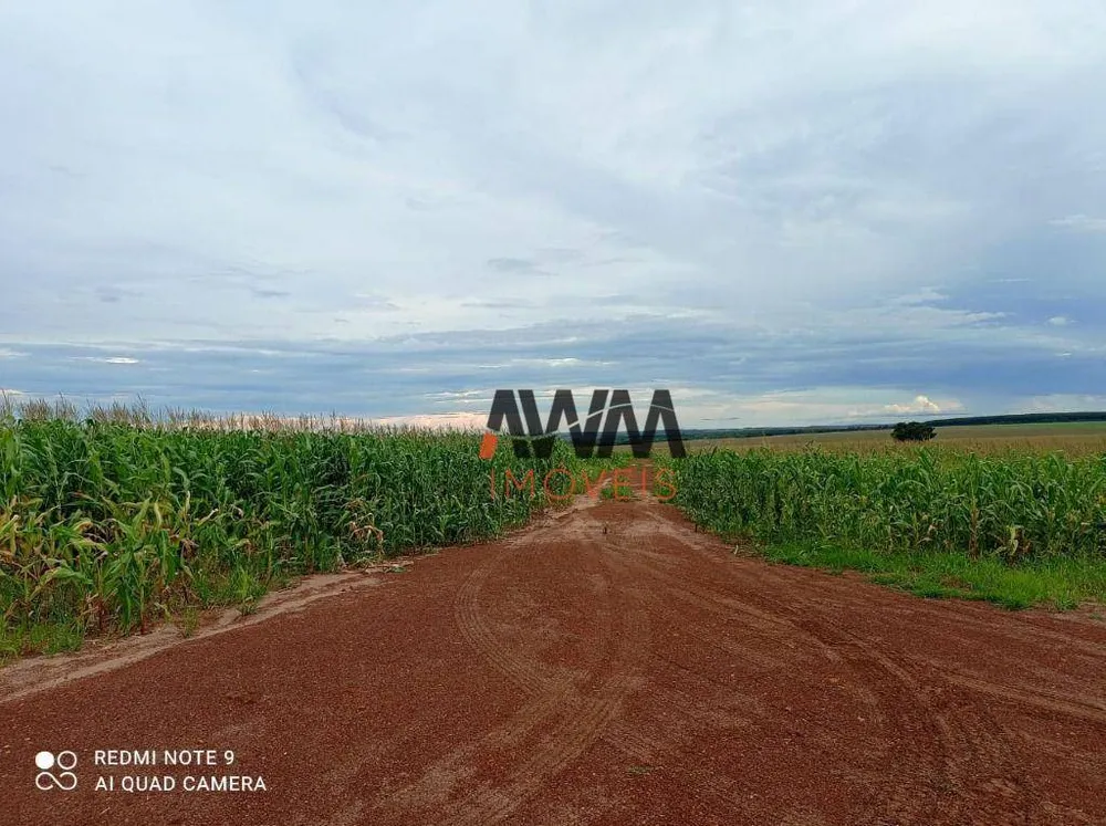 Fazenda, 3001 hectares - Foto 8