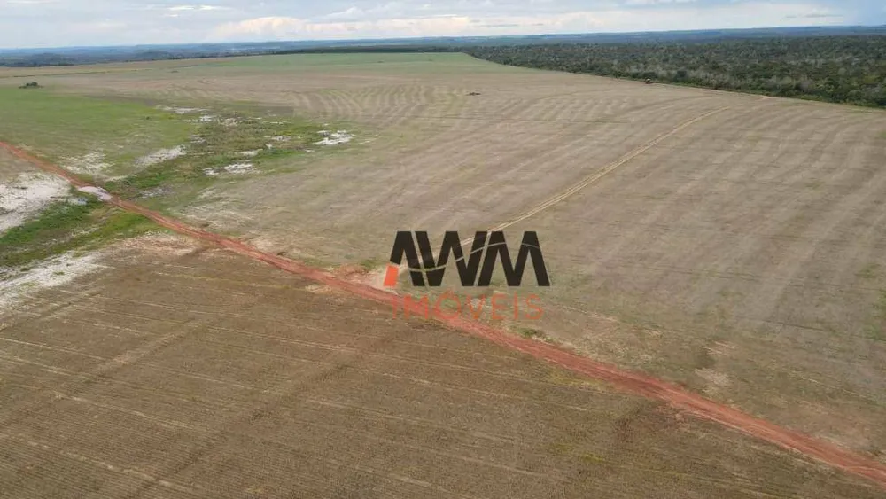Fazenda, 3001 hectares - Foto 11