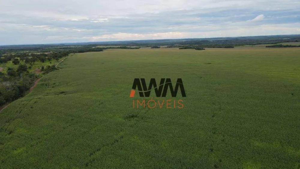 Fazenda, 3001 hectares - Foto 15