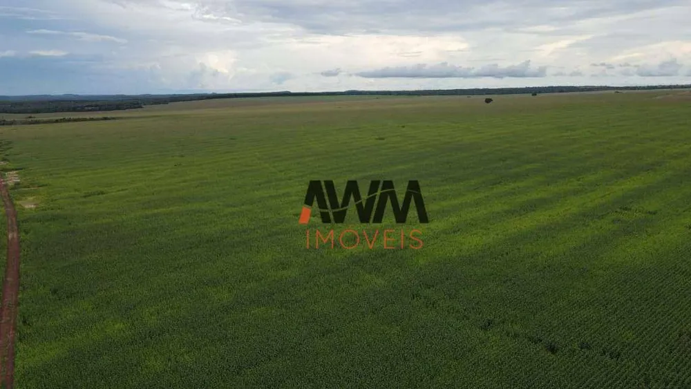 Fazenda, 3001 hectares - Foto 14