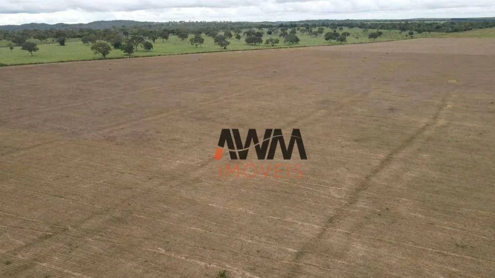 Fazenda, 3001 hectares - Foto 7