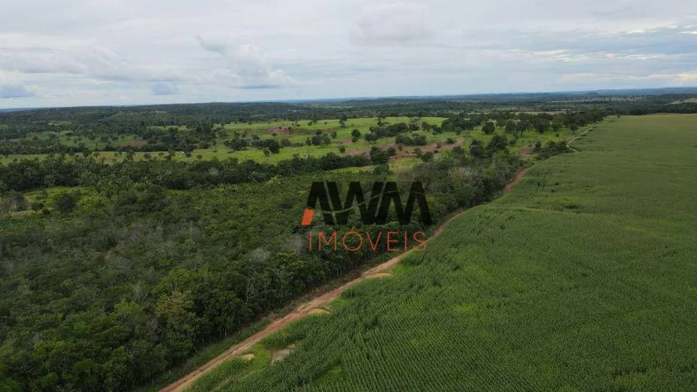 Fazenda, 3001 hectares - Foto 16