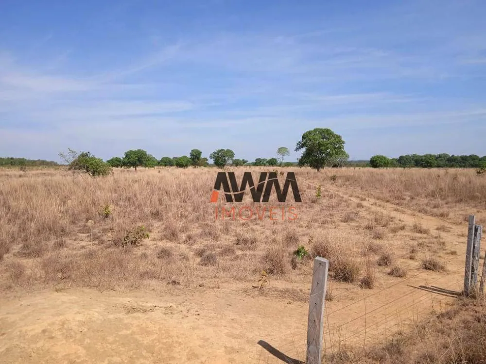Fazenda, 765 hectares - Foto 7