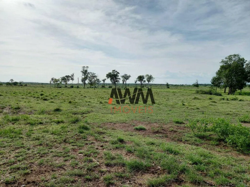 Fazenda, 765 hectares - Foto 3