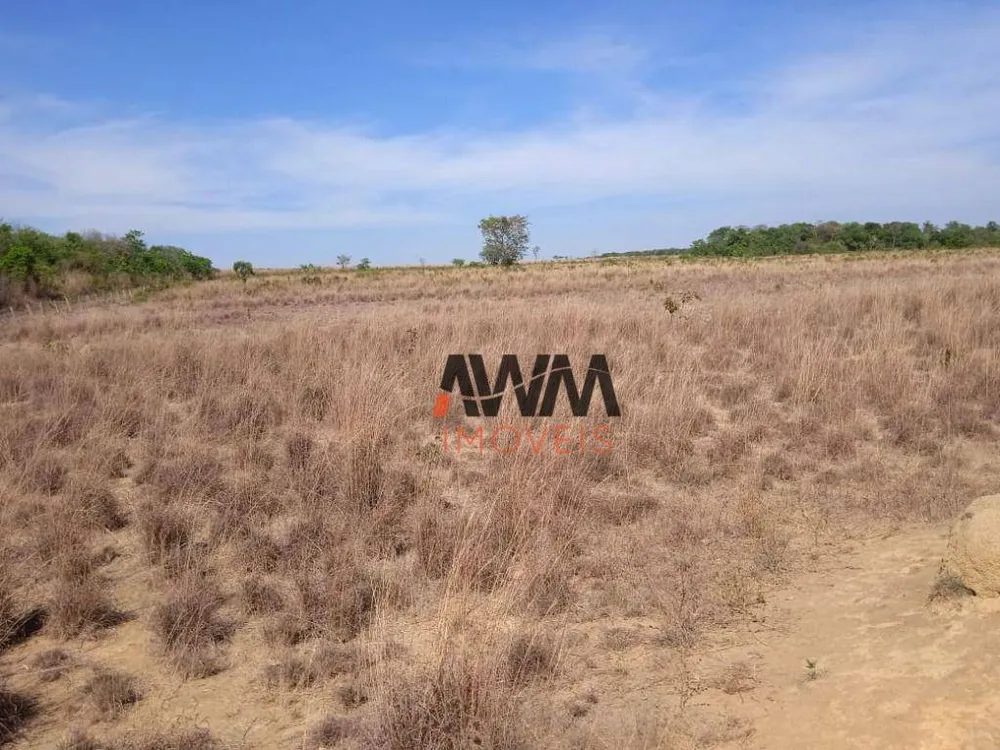 Fazenda, 765 hectares - Foto 4