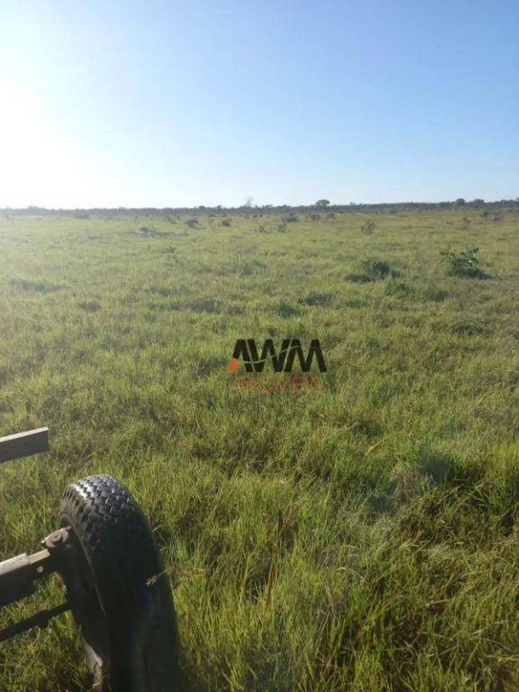 Fazenda, 765 hectares - Foto 11