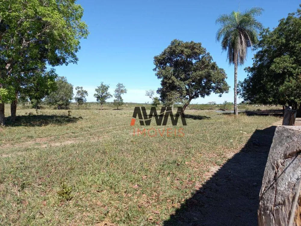 Fazenda, 765 hectares - Foto 4