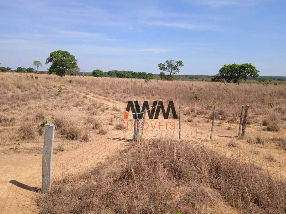 Fazenda, 765 hectares - Foto 6