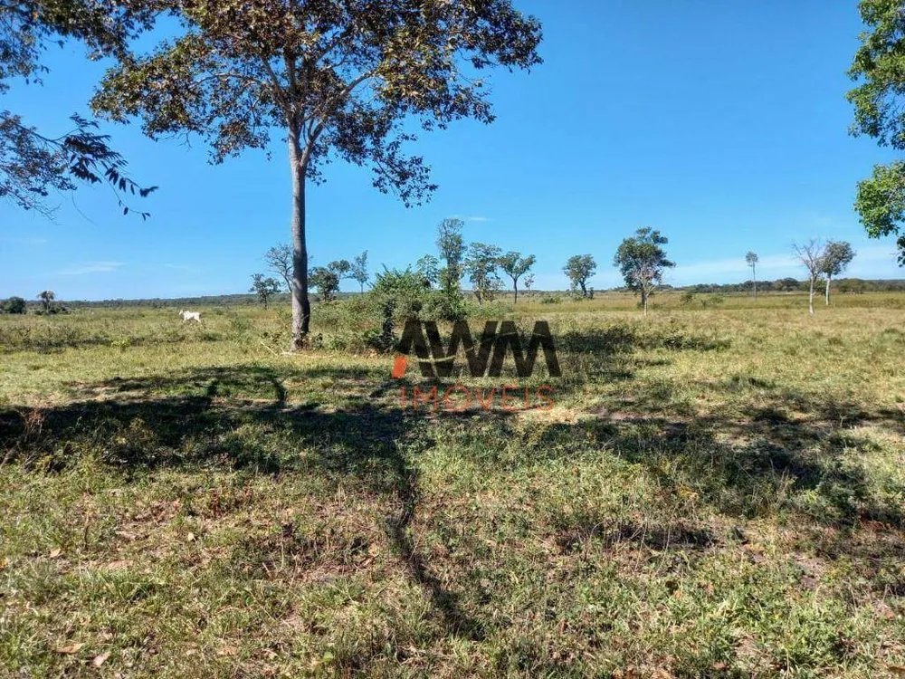 Fazenda, 765 hectares - Foto 5