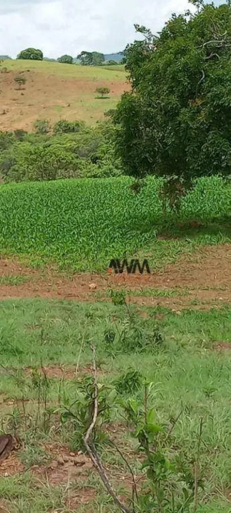 Fazenda, 189 hectares - Foto 16