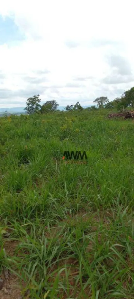 Fazenda, 189 hectares - Foto 12