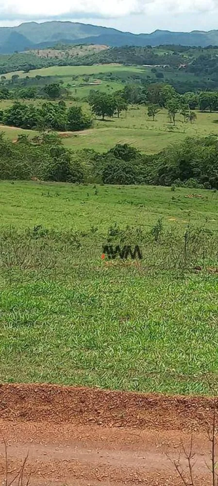 Fazenda, 189 hectares - Foto 13