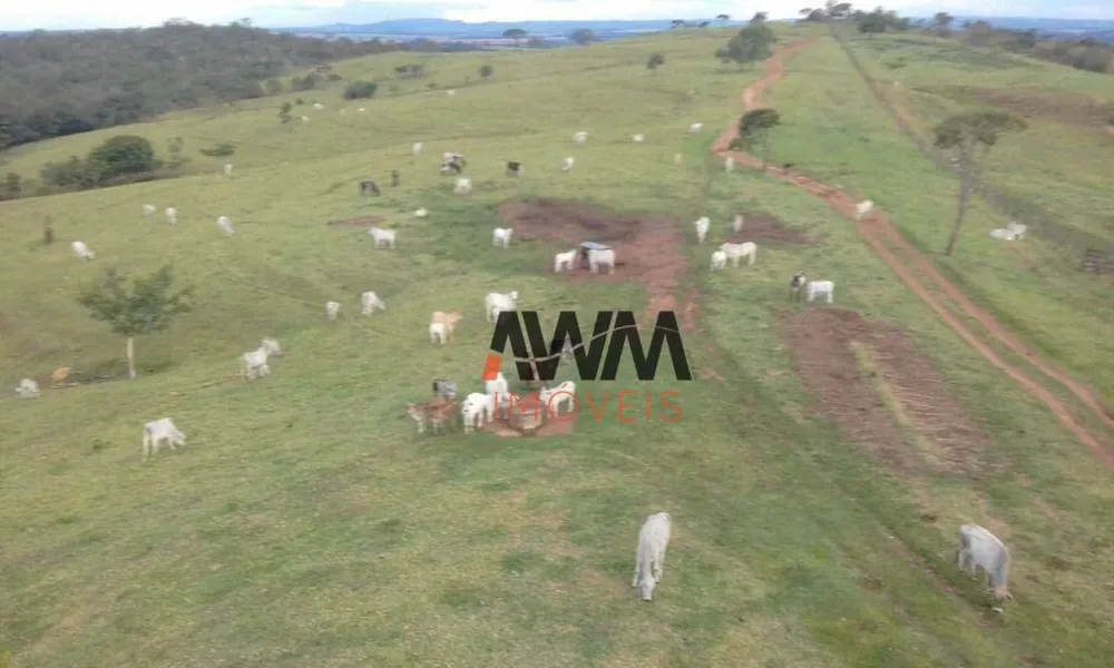 Fazenda, 189 hectares - Foto 2