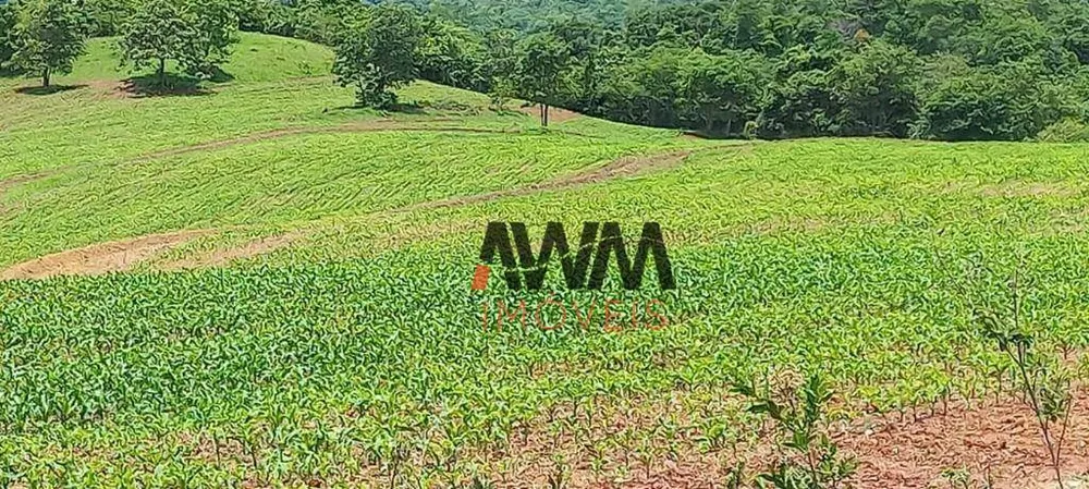 Fazenda, 189 hectares - Foto 4