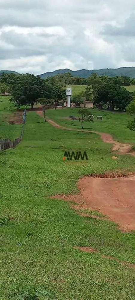 Fazenda, 189 hectares - Foto 15