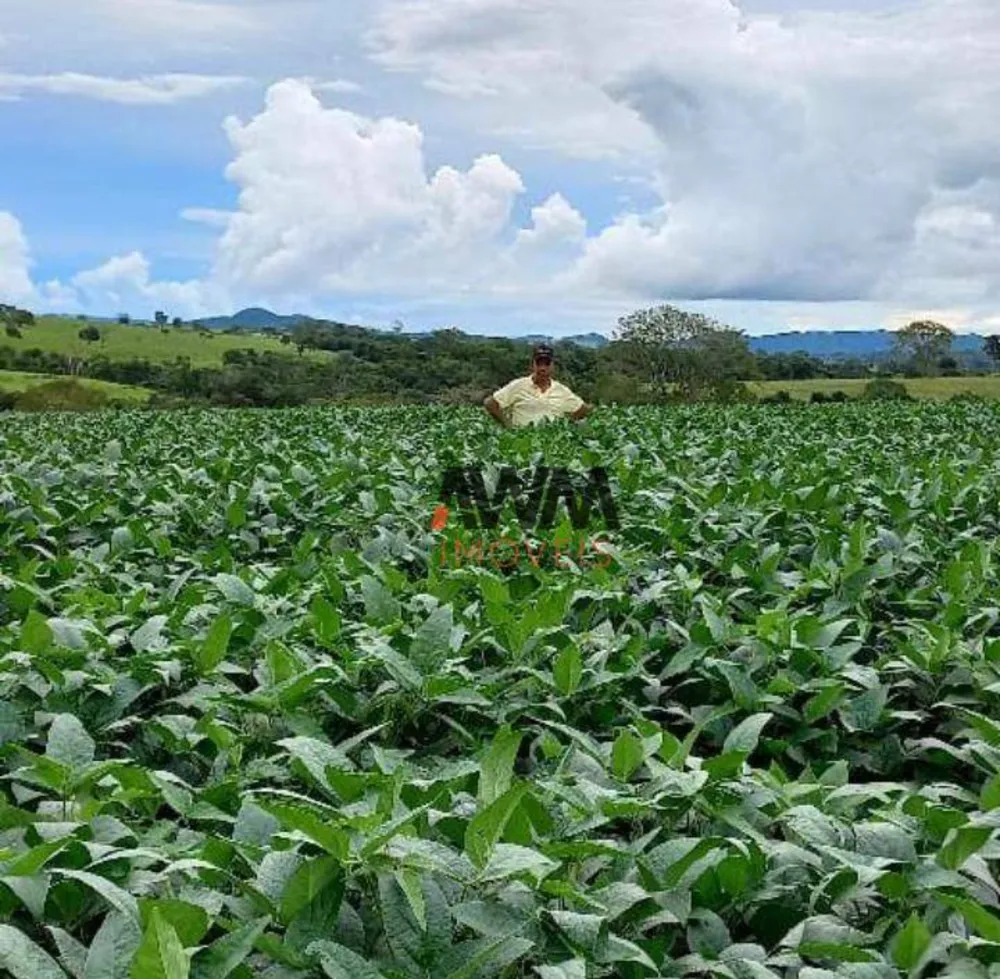 Fazenda, 189 hectares - Foto 7