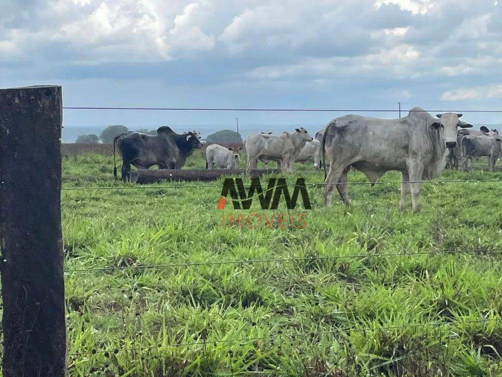 Fazenda, 2 hectares - Foto 3