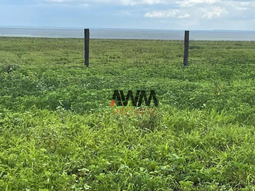 Fazenda, 2 hectares - Foto 10