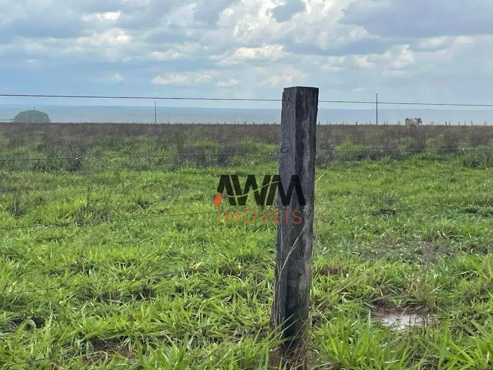 Fazenda, 2 hectares - Foto 15
