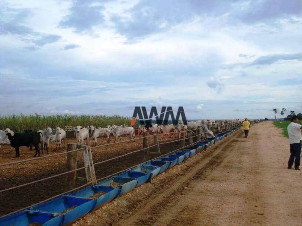 Fazenda, 2 hectares - Foto 6