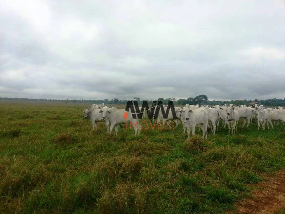 Fazenda, 2 hectares - Foto 1