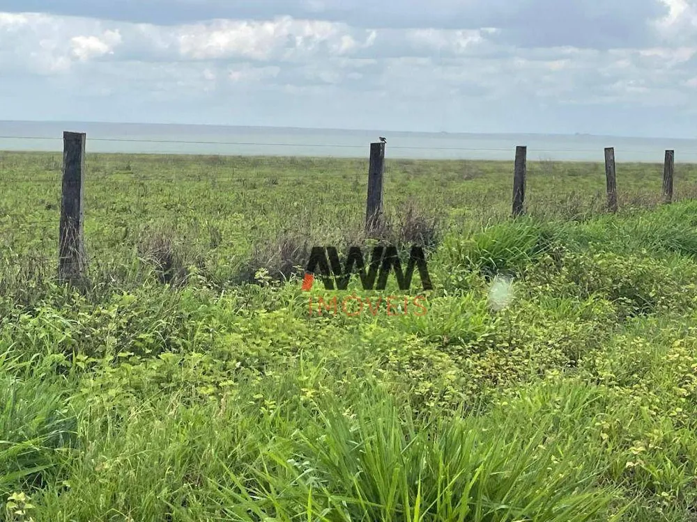 Fazenda, 2 hectares - Foto 16