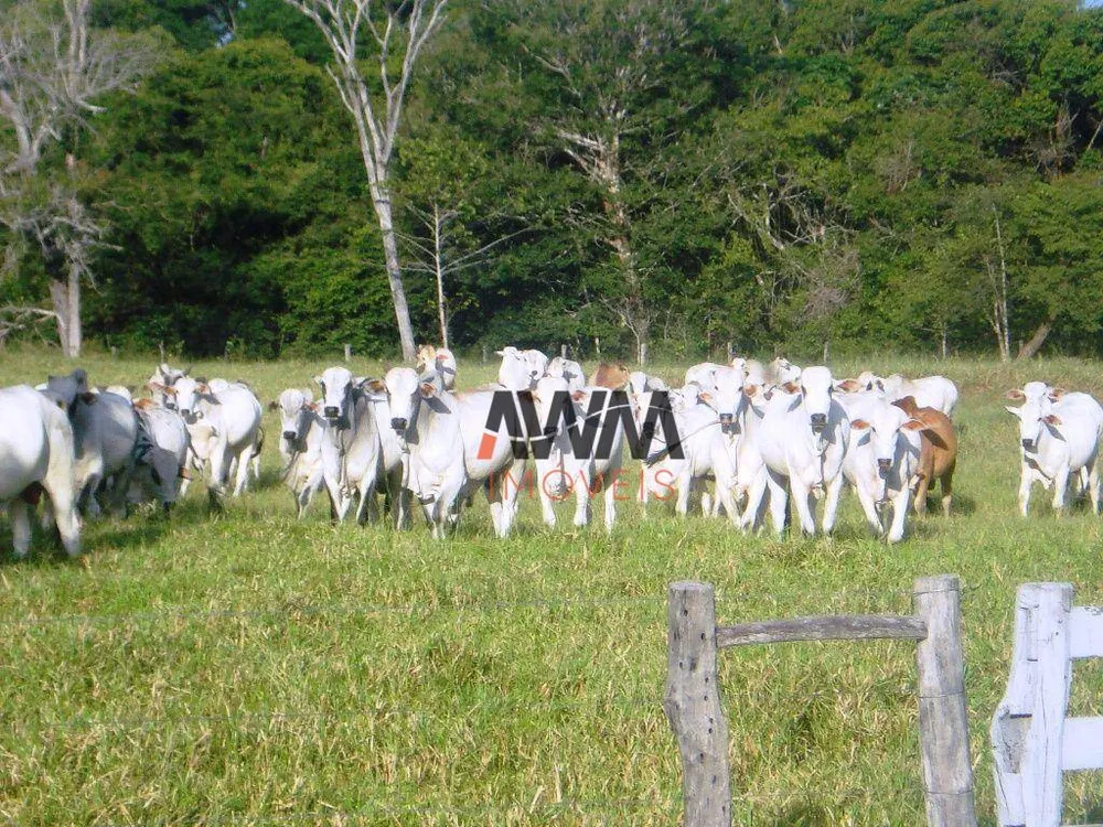 Fazenda, 2 hectares - Foto 12