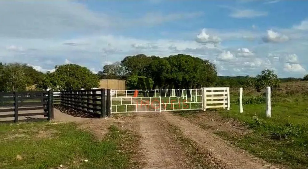 Fazenda, 2518 hectares - Foto 2
